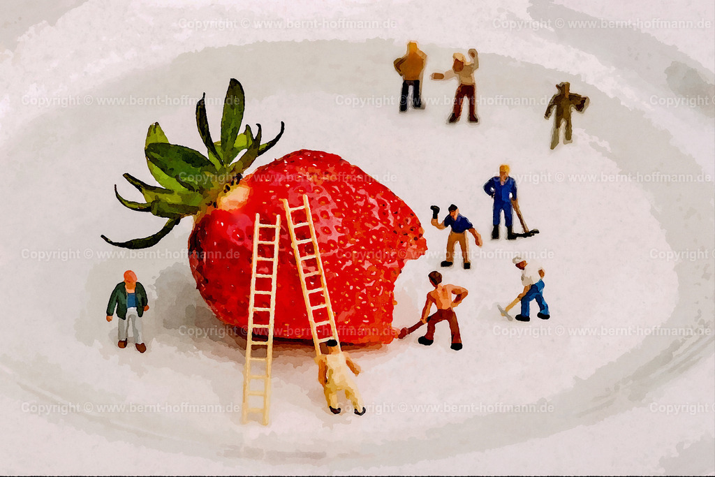 PDM2-TT_6136_Erdbeere-Teller_120x80 | DIGITALKUNST. «Kleine Welt» ... Genfood? -2- __ Reife Erdbeere liegt auf einem Porzellanteller. __ Menschen nachempfundene Figuren der «H0-Grösse» aus dem Bereich einer Modelleisenbahn arbeiten scheinbar an dieser Sommerfrucht. Die überdimensionale Grösse der Erdbeere verweist dabei augenzwinkernd auf die Kritik an «Genfood» - also genetisch veränderter Lebensmittel.  - Realisiert mit Pictrs.com