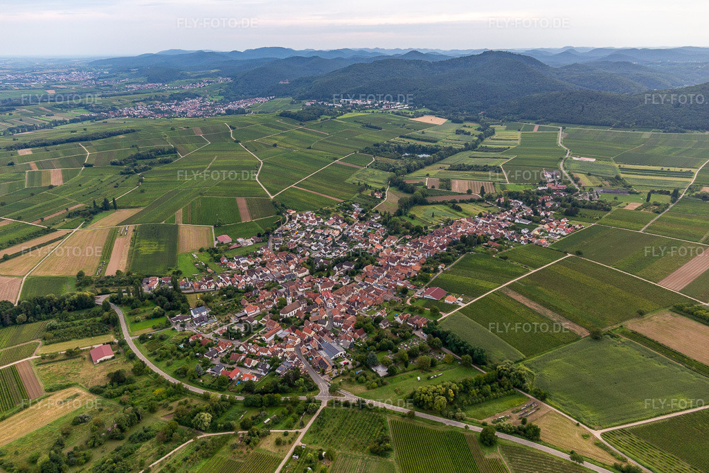 Luftbild: Landwirtschaftliche Nutzflächen und Feldgrenzen umsäumen das Siedlungsgebiet des Dorfes in Göcklingen im Bundesland Rheinland-Pfalz in Deutschland. Foto: IMG_128510.jpg vom 21.08.2021 durch Werner Riehm/FLY-FOTO.de
