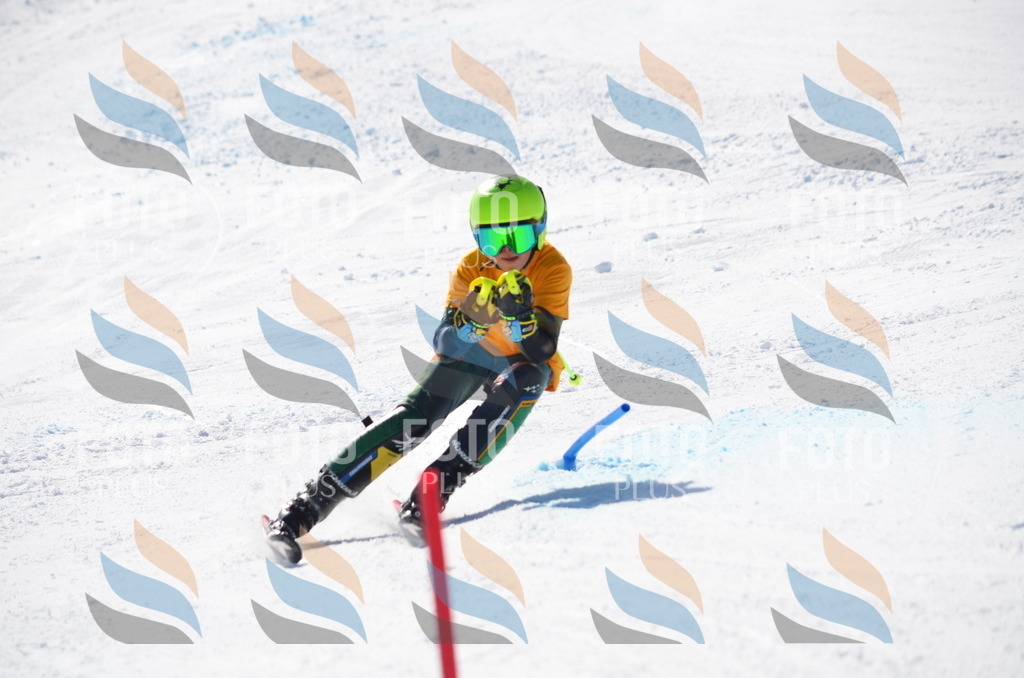 C9679 | holidayphoto