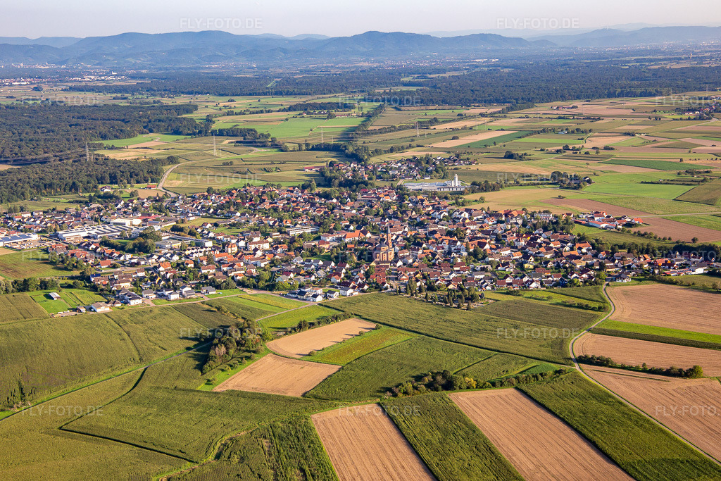 Luftbild: Ortsansicht von Norden im Ortsteil Rheinbischofsheim in Rheinau im Bundesland Baden-Württemberg in Deutschland. Foto: IMG_137797.jpg vom 18.08.2023 durch Werner Riehm/FLY-FOTO.de