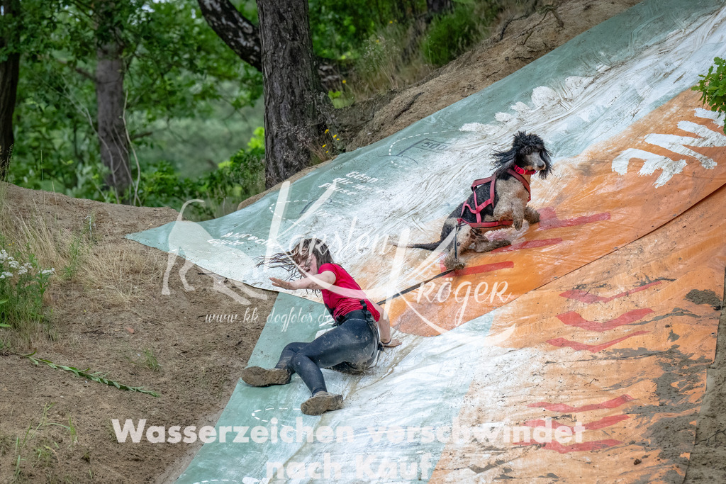 1248_ZZ90133-Bearbeitet-2 | kk-dogfotos