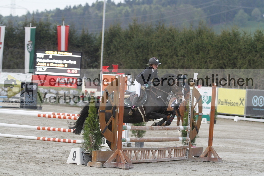 _MG_3516 | equestrian-live-com