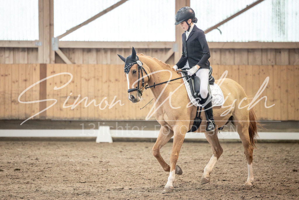 20251011-_3LI6755 | Tierfotografie Pferde, Hunde, Katzen, Haustiere.
Turnierfotografie Reitturniere, Reiten, Springreiten, Dressur in Hanau, dem Main-Kinzig-Kreis und dem Rhein-Main- Gebiet um Frankfurt