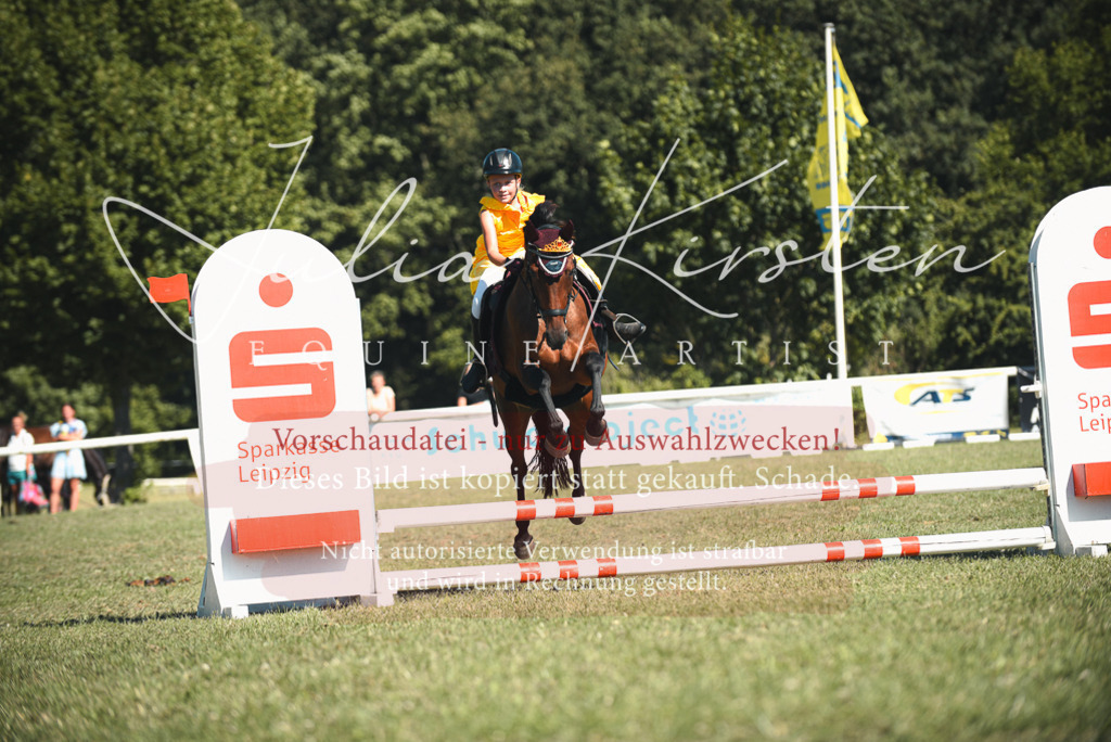DSC_7523 | Pferde- und Turnierfotografie in Westsachsen. Pferdeportraits, Auftragszeichnungen und intuitive Kunst.