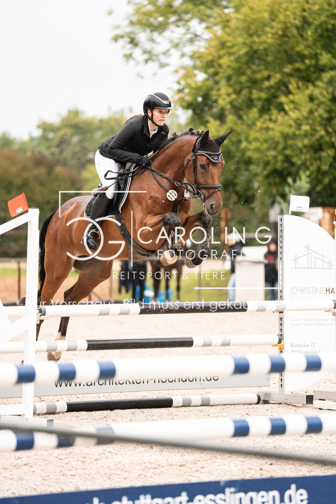 DSC03252 | Carolin Gieschke