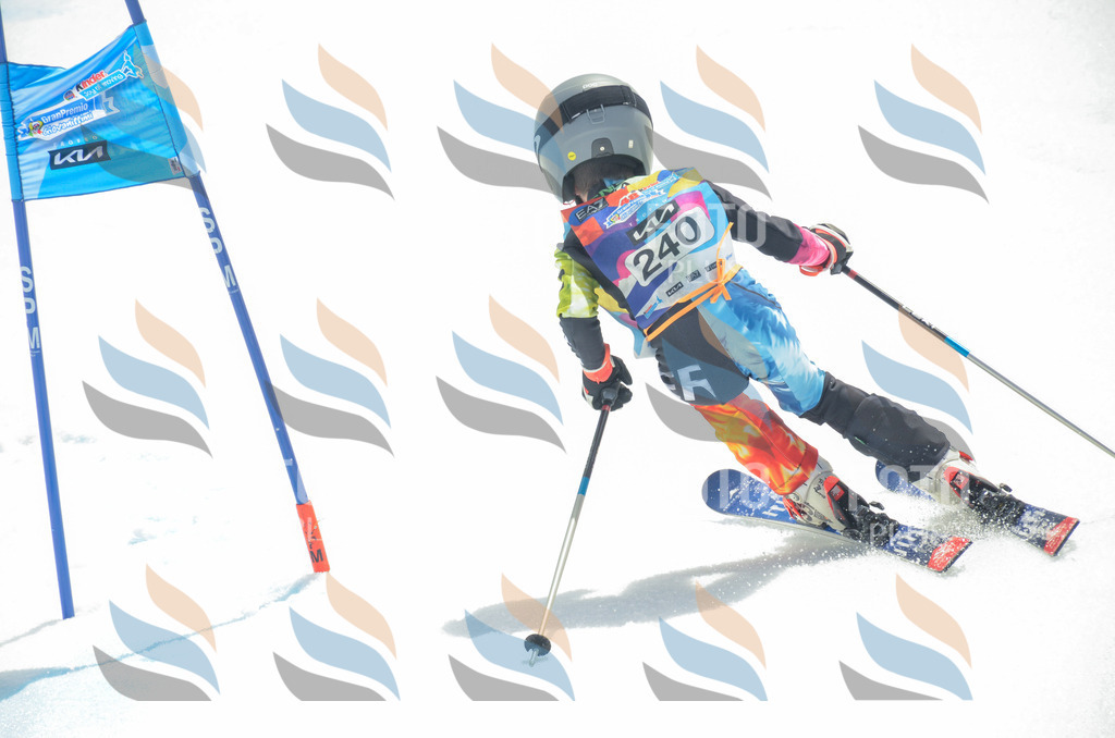 _ELE7433 | holidayphoto