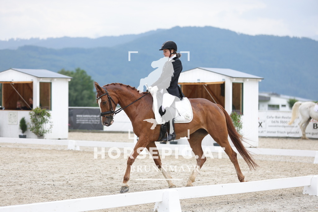 0P6A3571 | Willkommen bei Brunnmayr - Design & Fotografie – Ihrem Spezialisten für Reitturniere und Pferdeveranstaltungen in Oberösterreich, Salzburg und Bayern! Seit über 17 Jahren sind wir leidenschaftlich dabei.