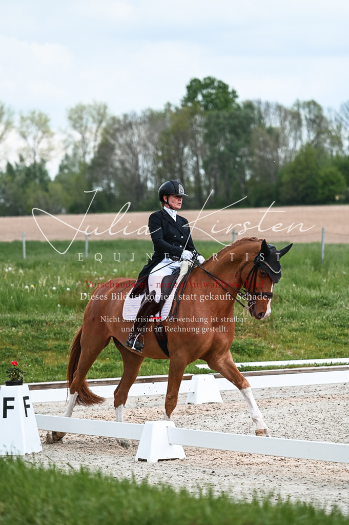 20230514_JK-Röhrsdorf-20-103 | Pferde- und Turnierfotografie in Westsachsen. Pferdeportraits, Auftragszeichnungen und intuitive Kunst.