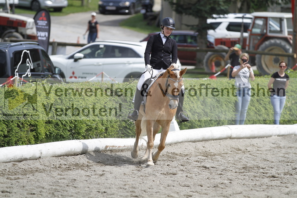 _MG_8741 | equestrian-live-com