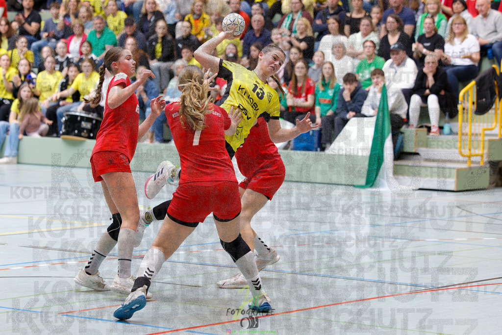 Hessenmeisterschaft wJC - Finale; HSG Kleenheim - HSG Weiterstadt/ Braunsh.Worf. | Hessenmeisterschaft wJC - Finale; HSG Kleenheim - HSG Weiterstadt/ Braunsh.Worf. am 22.03.2025 in Biedenkopf (Sporthalle Lahntalschule)Photo © 2025 - Jörg Heinrich - Realisiert mit Pictrs.com