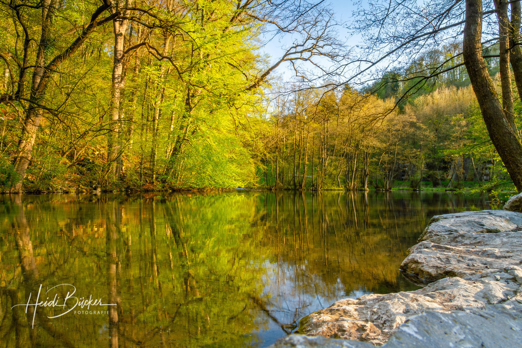 Almequellen bei Brilon | Almequellen bei Brilon - Realisiert mit Pictrs.com