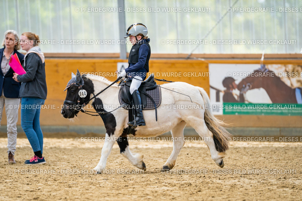 DSC01379 | Pferdegrafie