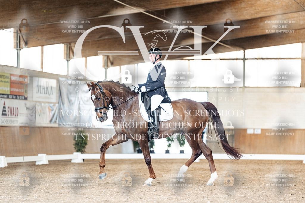 CK901597 | Turnierfotografie Pferdefotografie Trier Rheinland-Pfalz Pferdesport Reitsport Tierfotografie Sportfotografie Pferdevideo Pferdevideografie Equestrianvideography equestrianphotography  - Realisiert mit Pictrs.com