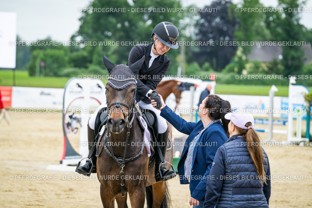 DSC03851 | Pferdegrafie