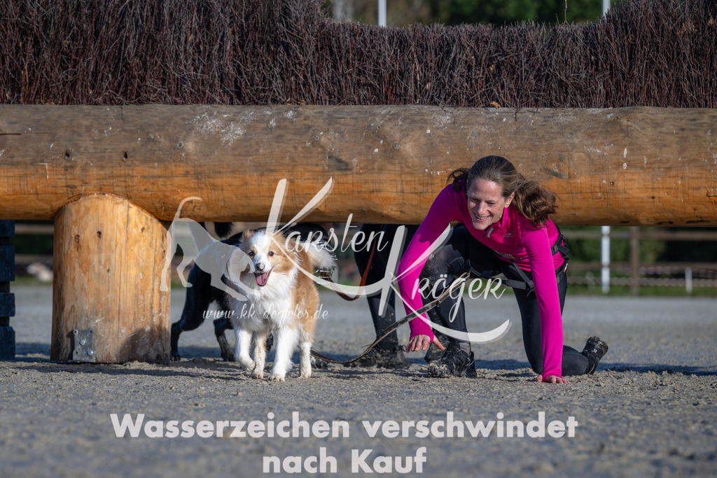 1009-_ZZ90365 | kk-dogfotos