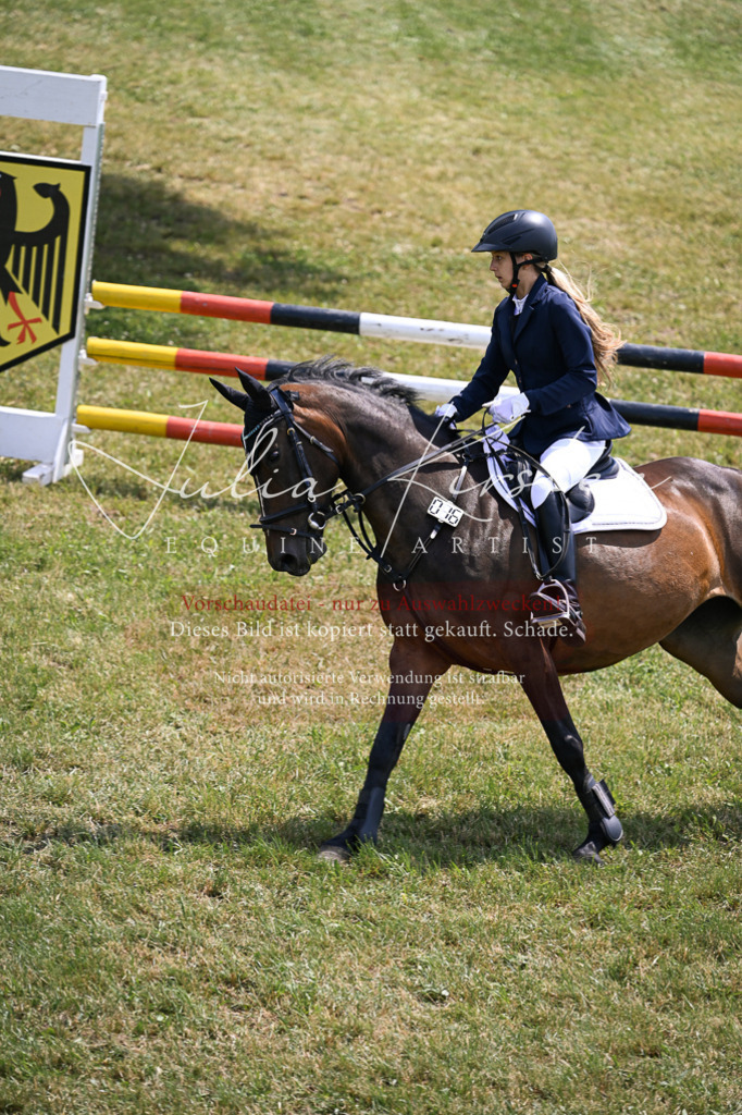DSC_9499 | Pferde- und Turnierfotografie in Westsachsen. Pferdeportraits, Auftragszeichnungen und intuitive Kunst.