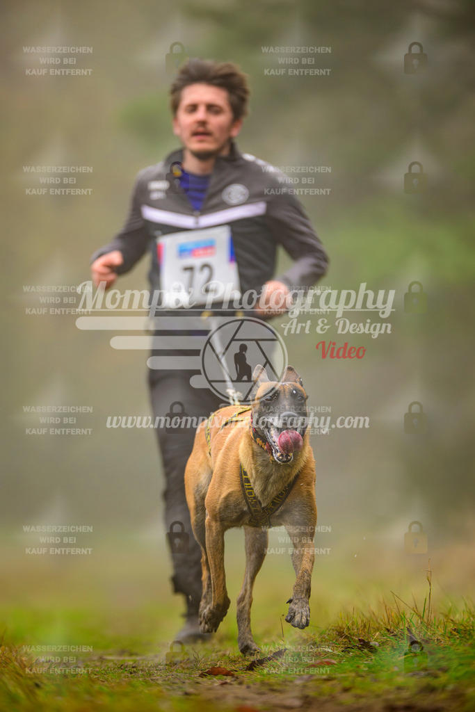 MompixPhotography_Bischwiller2025_Canicross-68 | mompixphotography