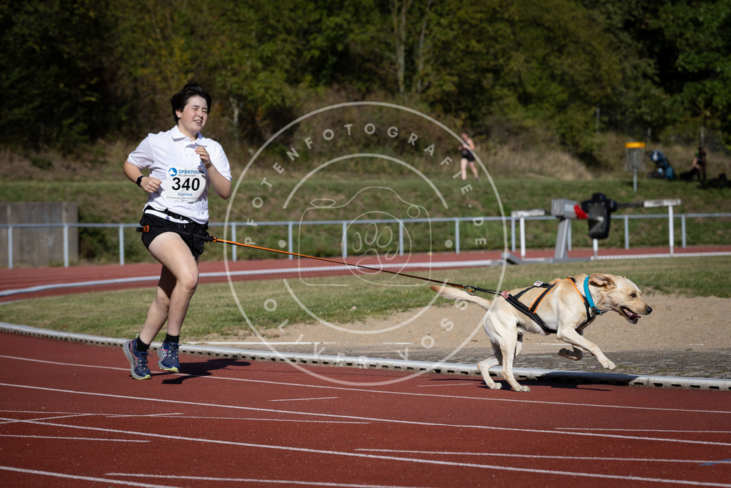 Pfotenfotografie_DV3A8292 | Hundefotografie, Tierfotograf, Pfotenfotografie, Fotoshooting Hund, Hunde Portrait, Hundesport, Hundeportraits, Heideshooting, Hunde, Sportfotograf, Hundefotograf, Turnierhundsport, THS,  - Realisiert mit Pictrs.com