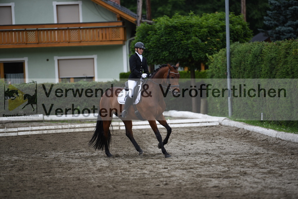 DSC_4789 | equestrian-live-com