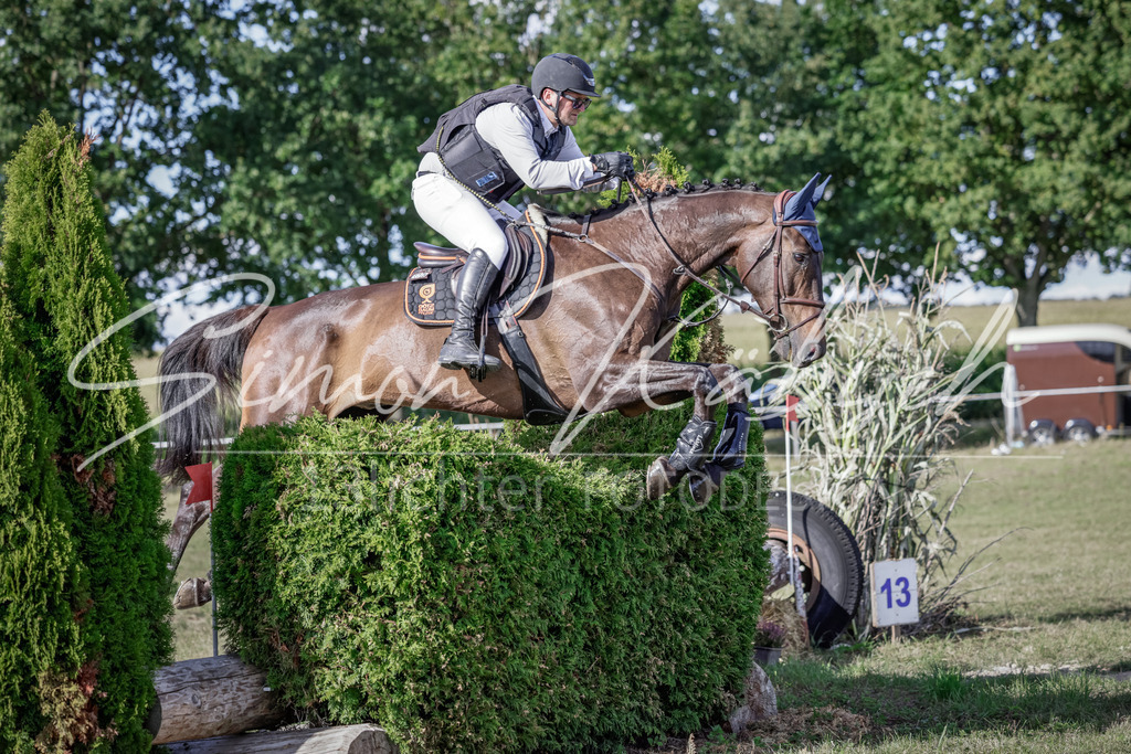 20250906-_3LI7115 | Tierfotografie Pferde, Hunde, Katzen, Haustiere.
Turnierfotografie Reitturniere, Reiten, Springreiten, Dressur in Hanau, dem Main-Kinzig-Kreis und dem Rhein-Main- Gebiet um Frankfurt