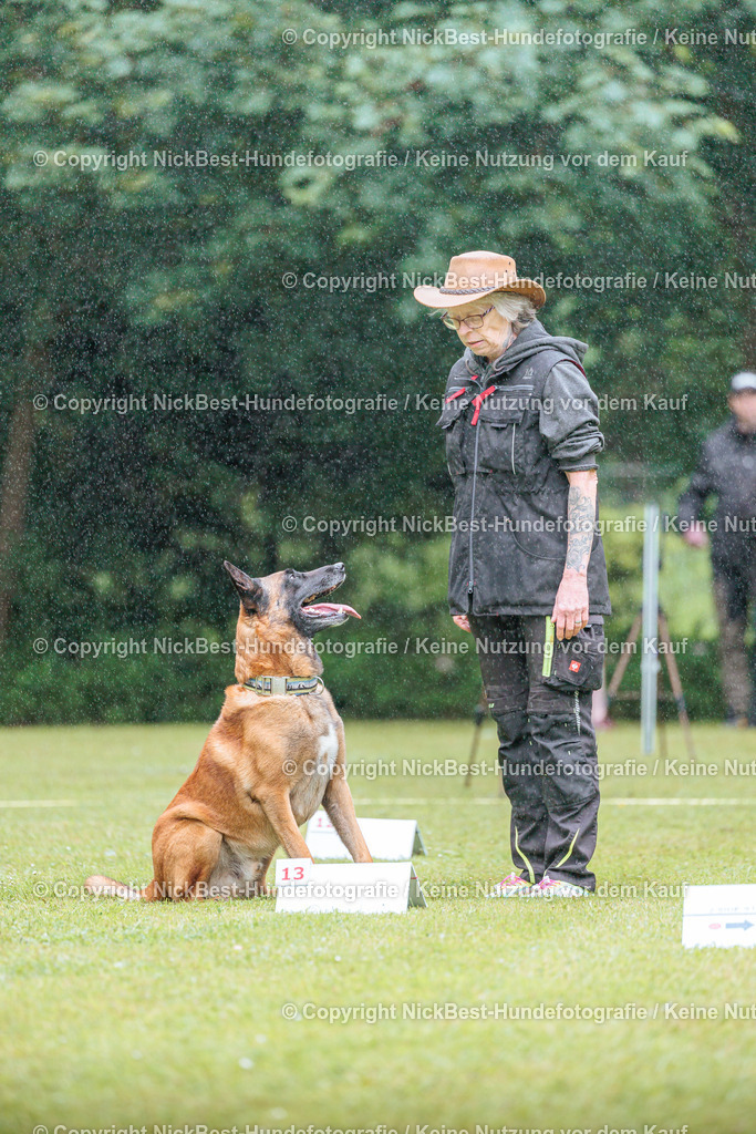 RO-Blumenthal-2026-Nickbest-Hundefotografie-0463 | Dein Hund! Dein Moment! Deine Erinnerungen! Hundefotografie in Bremen Blumenthal. Ich fange die besonderen Momente deines Vierbeiners ein – ob Indoor mit Blitzanlage oder in der freien Natur. Sicher dir dein Moment und dein Termin für eure Erinnerungen.