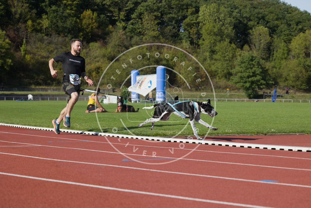 0L8A0118 | Hundefotografie, Tierfotograf, Pfotenfotografie, Fotoshooting Hund, Hunde Portrait, Hundesport, Hundeportraits, Heideshooting, Hunde, Sportfotograf, Hundefotograf, Turnierhundsport, THS,  - Realisiert mit Pictrs.com