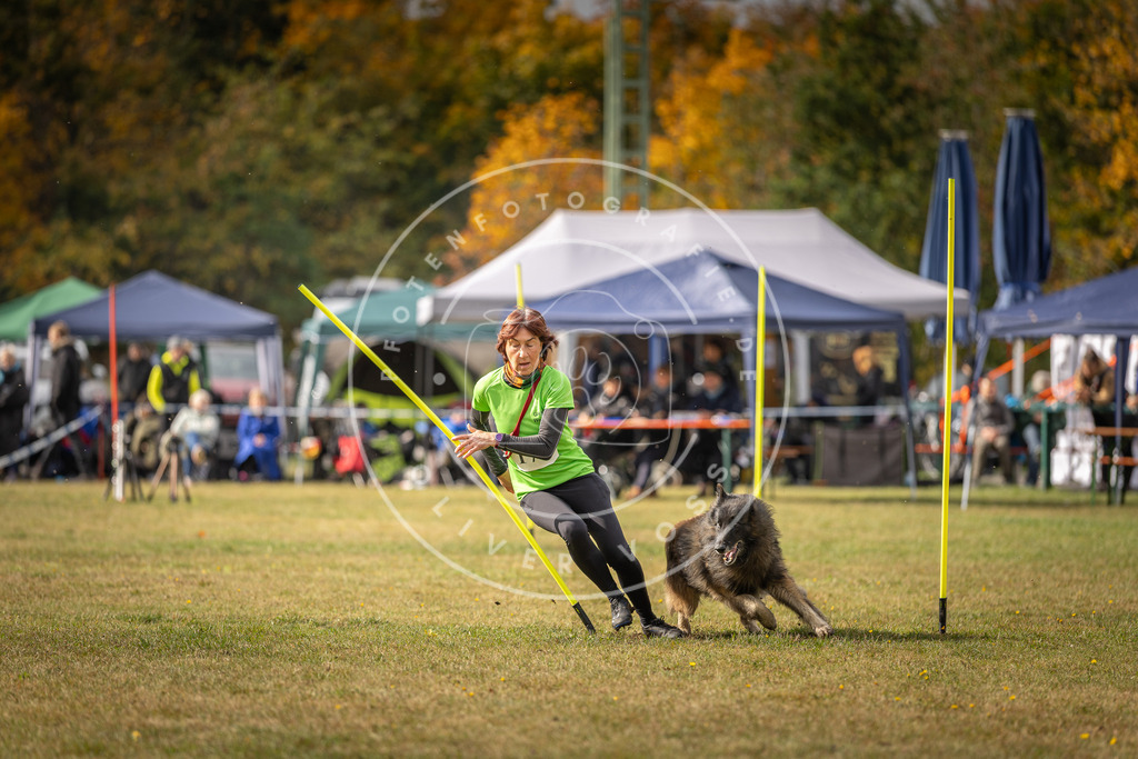 Pfotenfotografie_DV3A5841 | Hundefotografie, Tierfotograf, Pfotenfotografie, Fotoshooting Hund, Hunde Portrait, Hundesport, Hundeportraits, Heideshooting, Hunde, Sportfotograf, Hundefotograf, Turnierhundsport, THS,  - Realisiert mit Pictrs.com