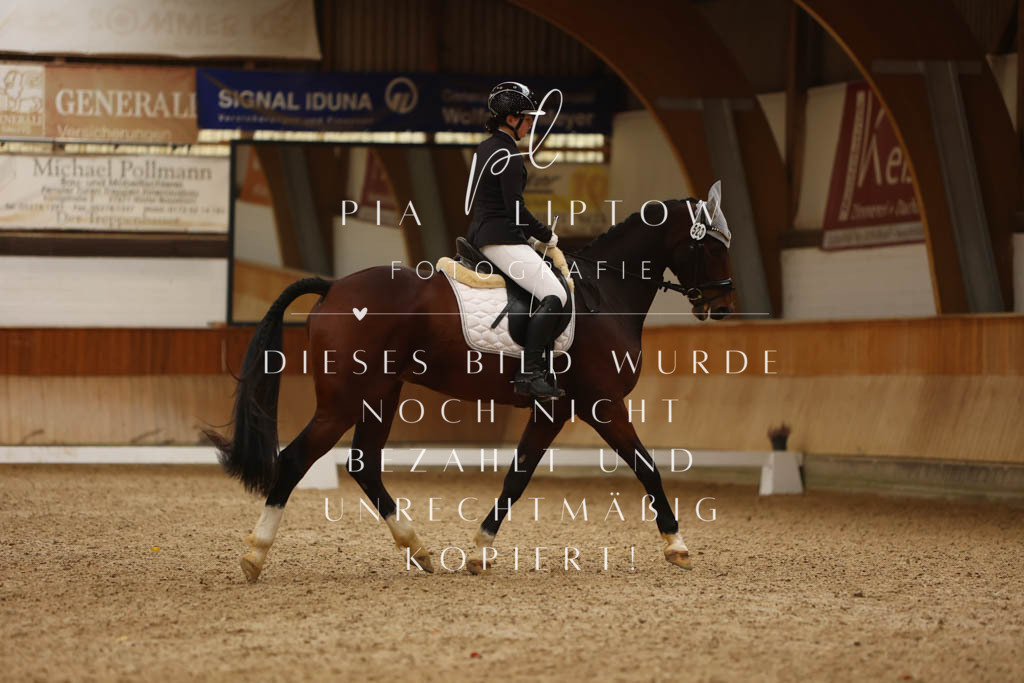 IMGM8145 | pl-fotografie