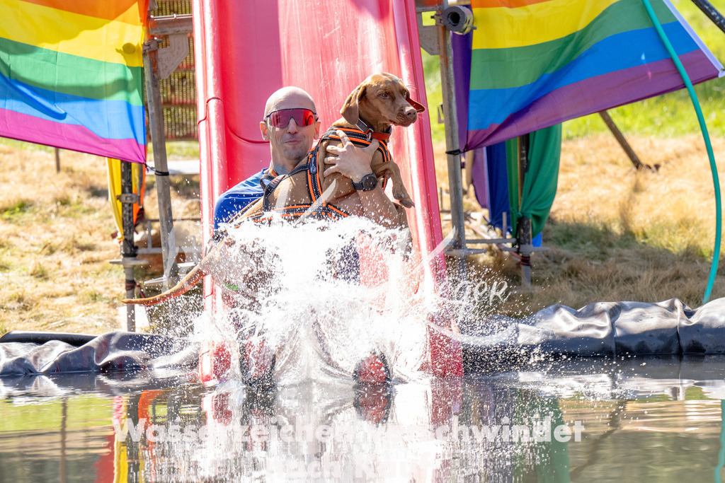 1224_ZZ91717 | kk-dogfotos