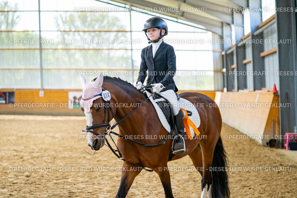 DSC01229 | Pferdegrafie