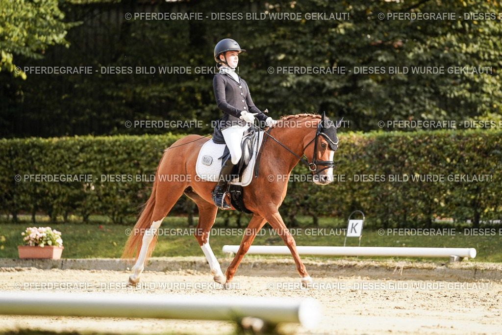 DSC06020 | Pferdegrafie