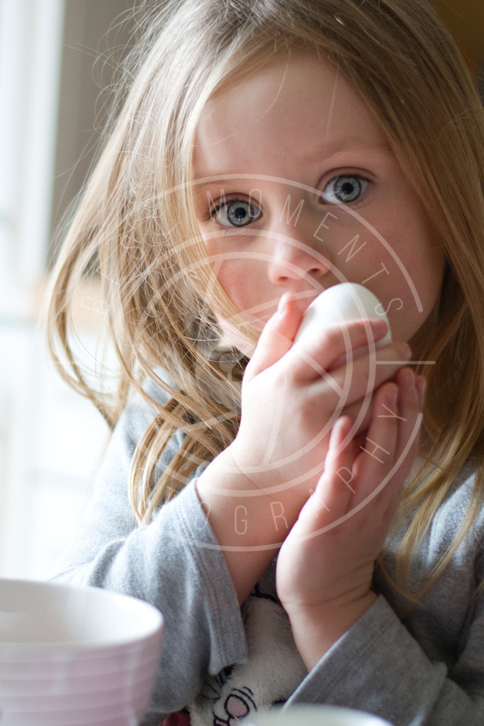 DSC_0460 (1) | best-moments-photography - Realisiert mit Pictrs.com