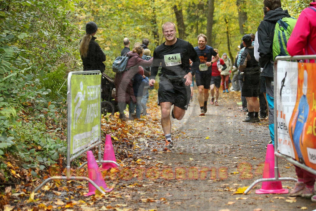 251026_1301_EX1_2250 | Sportfotografie im Rhein-Sieg Kreis, Köln, Bonn, NRW, Rheinland Pfalz, Hessen, etc. Unser Tätigkeitsfeld umfasst den Laufsport vom Volkslauf über den Marathon, Duathlon, Triathon bis zum Ultralauf wie Kölnpfad Ultra oder Schindertrail.