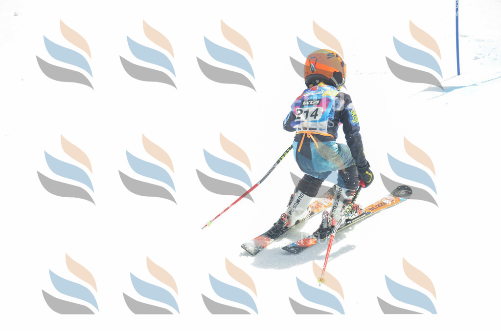 _ELE7092 | holidayphoto