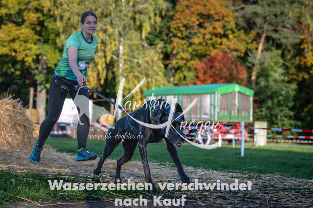 0927_ZZ90573 | kk-dogfotos