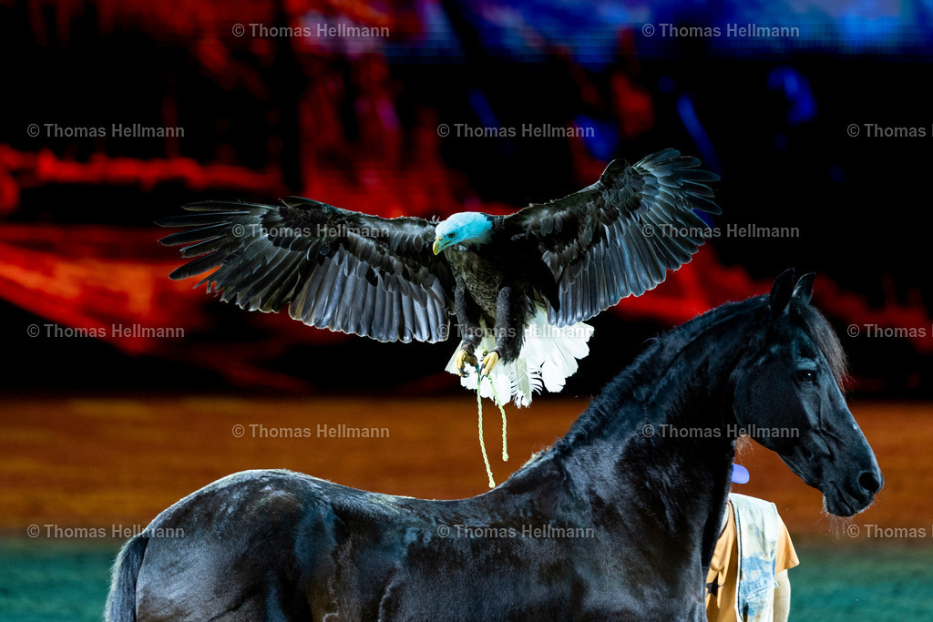 TH_Hop Top Show_26745 | EQUITANA 2025 am 07.03.25 in Essen