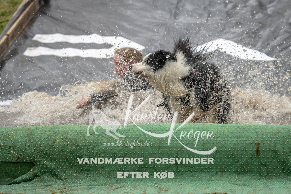 1554_ZZ91386 | kk-dogfotos