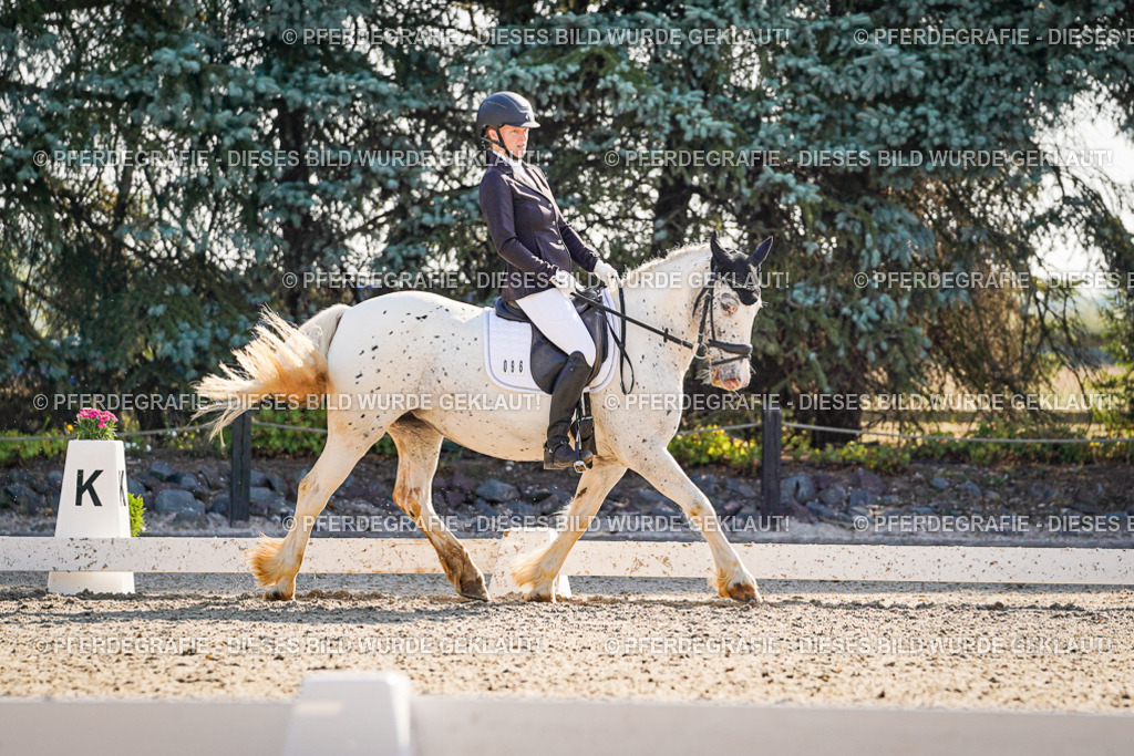 DSC09331 | Pferdegrafie