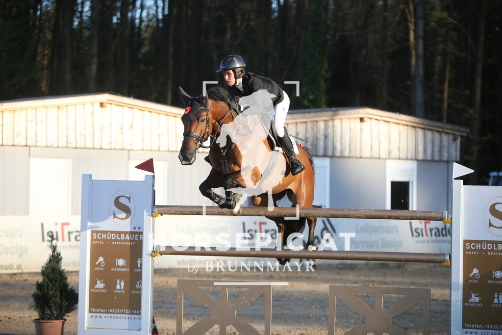 PP016487 | Willkommen bei Brunnmayr - Design & Fotografie – Ihrem Spezialisten für Reitturniere und Pferdeveranstaltungen in Oberösterreich, Salzburg und Bayern! Seit über 17 Jahren sind wir leidenschaftlich dabei.
