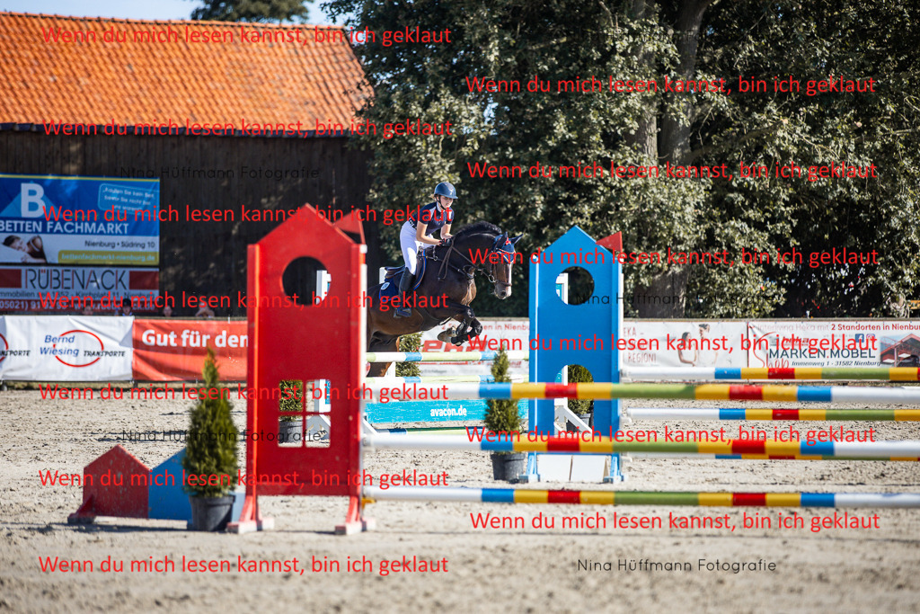 BK1A7352 | Turnierbilder Turnierfotos Nina Hüffmann Turnierfotografie Pferdefotografie Tierzeichnung Haustierzeichnung Pferdezeichnung Hundezeichnung Videograf  - Realisiert mit Pictrs.com