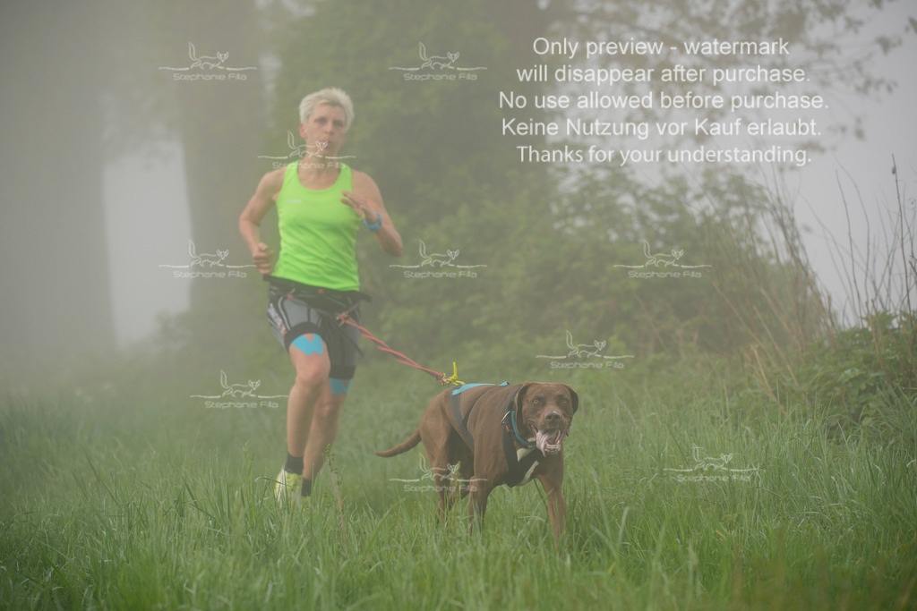 SA_GL2-101 | stephaniefillaphotographie - Realisiert mit Pictrs.com