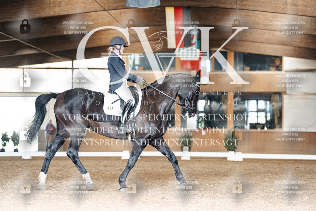 CK902190 | Turnierfotografie Pferdefotografie Trier Rheinland-Pfalz Pferdesport Reitsport Tierfotografie Sportfotografie Pferdevideo Pferdevideografie Equestrianvideography equestrianphotography  - Realisiert mit Pictrs.com