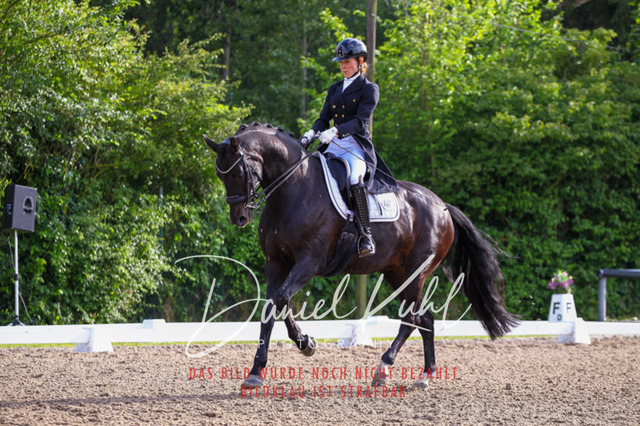 DKP41722 | Turnierfotos kaufen im Webshop von Daniel Kuhl Photography – entdecke professionelle Reitsportfotos aus Turnieren & Events. Hochwertige Turnierbilder online bestellen & sichern. Jetzt Fotos von Reitsportturnieren kaufen!