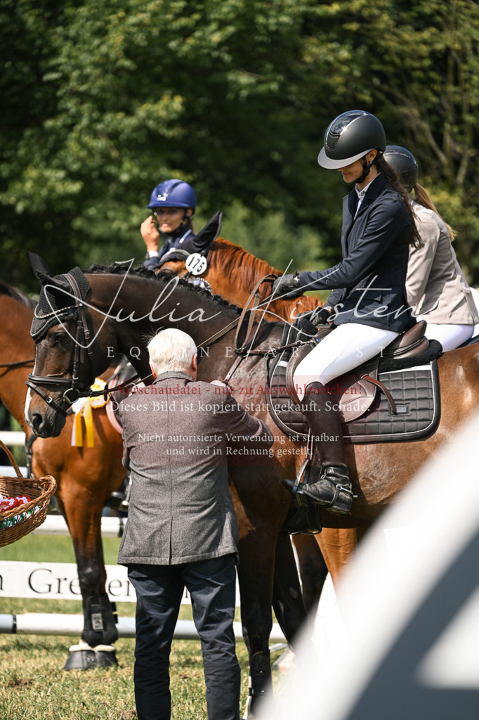 DSC_0696 | Pferde- und Turnierfotografie in Westsachsen. Pferdeportraits, Auftragszeichnungen und intuitive Kunst.