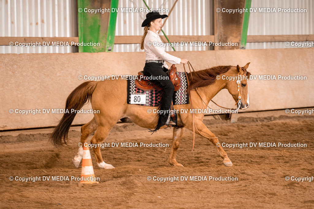 BA300911 | dv-media-shop - Realisiert mit Pictrs.com