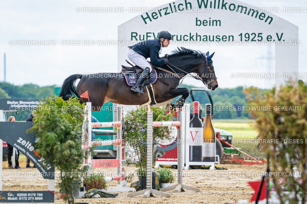 DSC06208 | Pferdegrafie