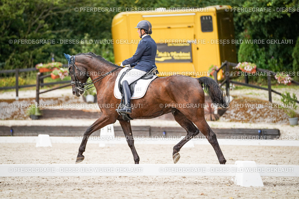 DSC09497 | Pferdegrafie