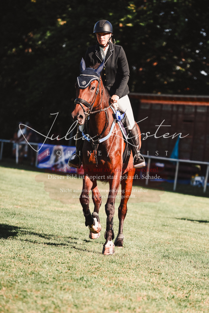 DSC_2322 | Pferde- und Turnierfotografie in Westsachsen. Pferdeportraits, Auftragszeichnungen und intuitive Kunst.