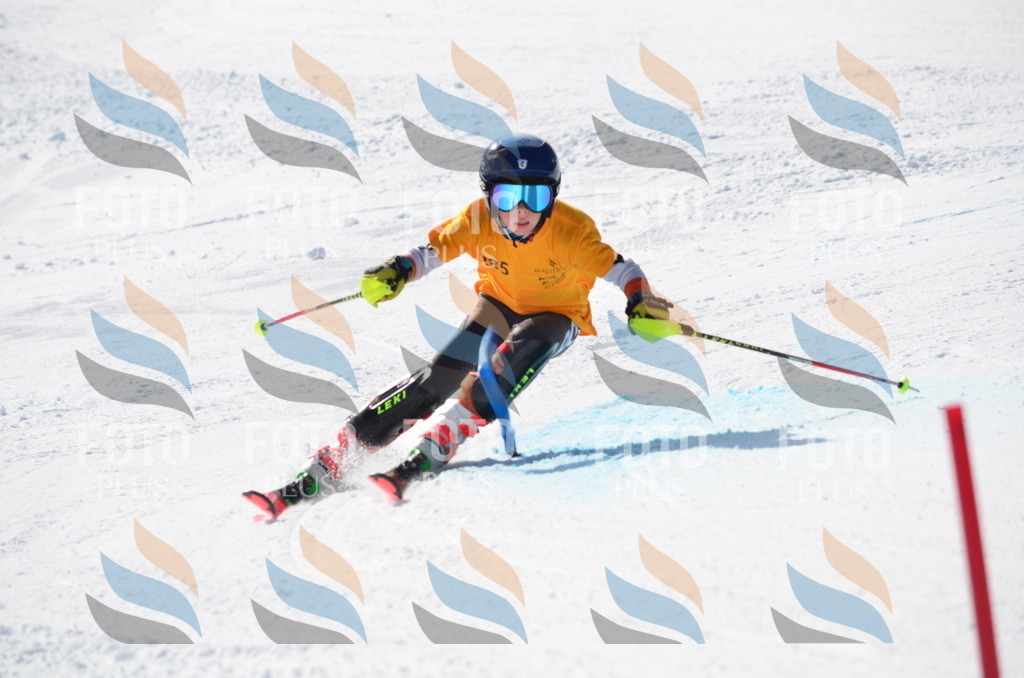 C8660 | holidayphoto