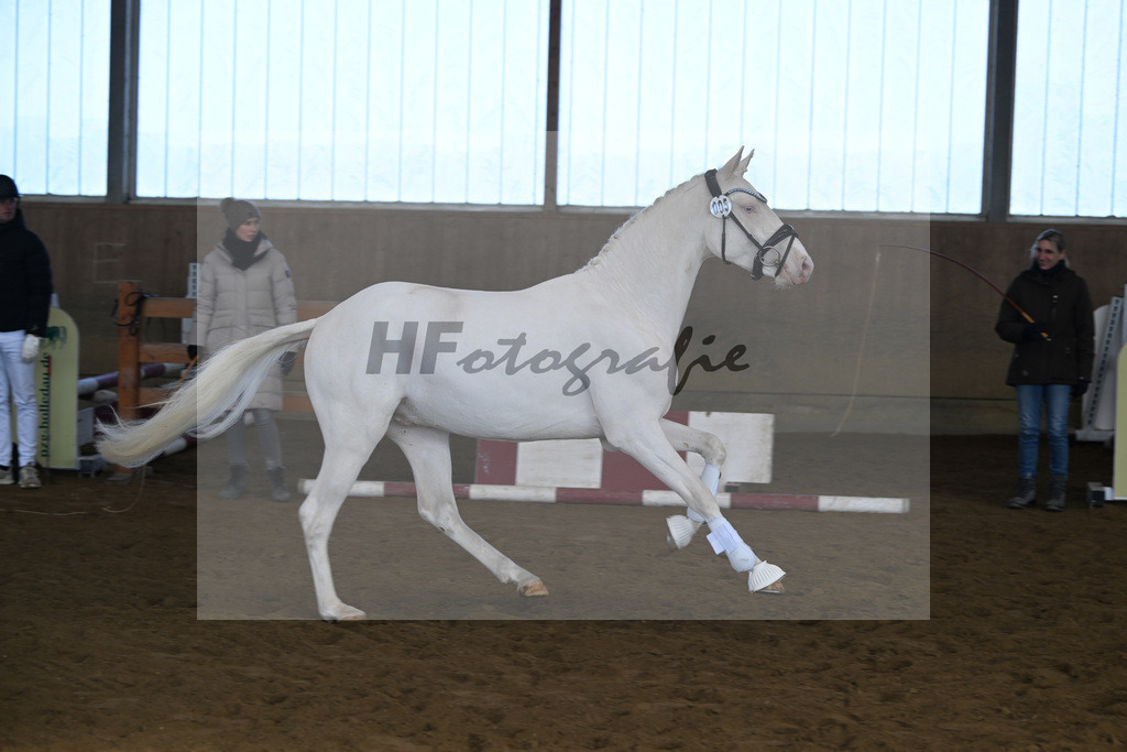 Kat-Nr. 5 EMR Gamarelli v. Giotto_Rupp_49250134 | hf-fotografie - Realisiert mit Pictrs.com